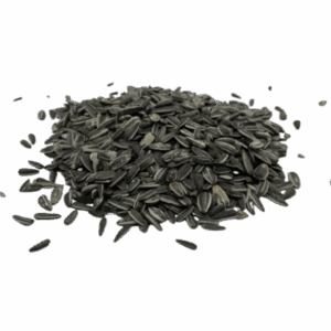 solrosfro-1-300×300