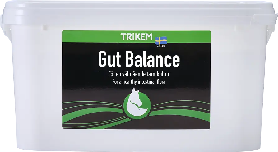 Gut Balance 3000g