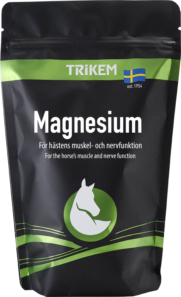 Magnesium 750g