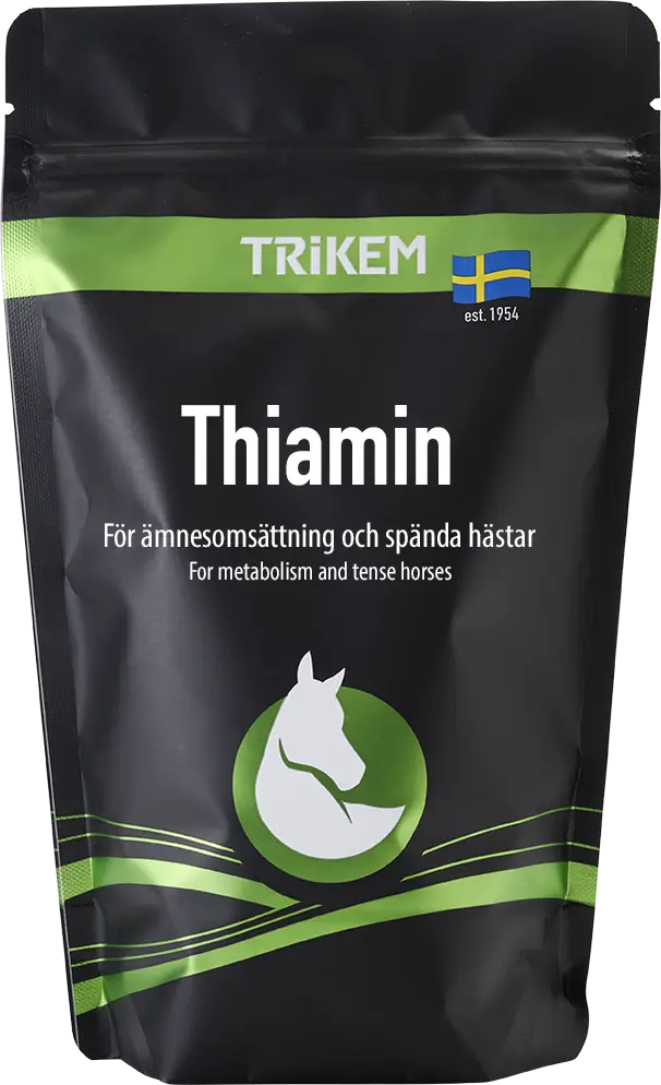 Thiamin 500g