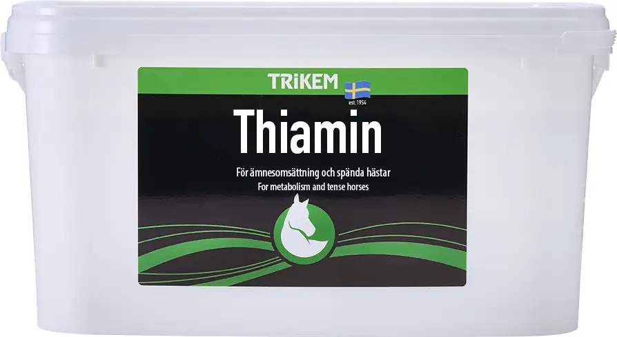 Thiamin 4000g