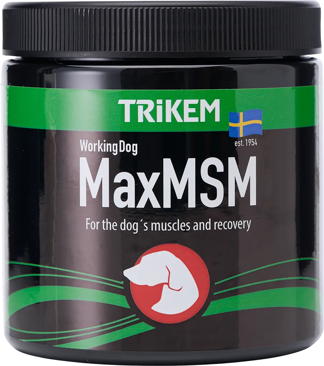 Working Dog MaxMSM 450g